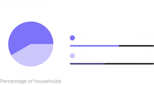 Plexerr — demographic snapshot with home ownership chart