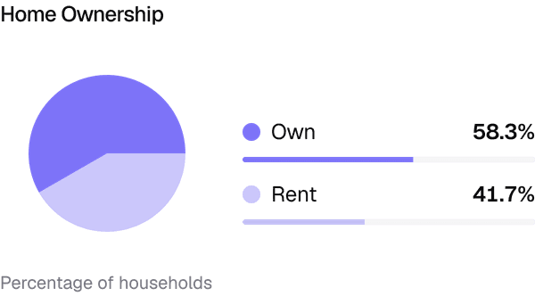 Plexerr — demographic snapshot with home ownership chart